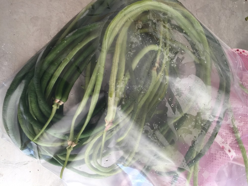 yardlong_beans_in_a_bag